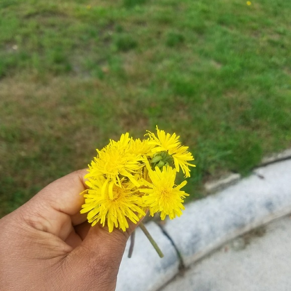 Meet your Posher, Zahira - Picture 1 of 2